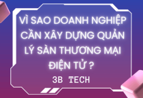 Vì Sao Doanh Nghiệp Cần Xây Dựng Quản Lý Sàn Thương Mại Điện Tử? 