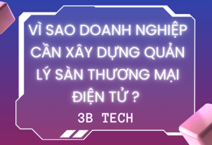 Vì Sao Doanh Nghiệp Cần Xây Dựng Quản Lý Sàn Thương Mại Điện Tử? 